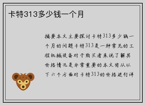 卡特313多少钱一个月